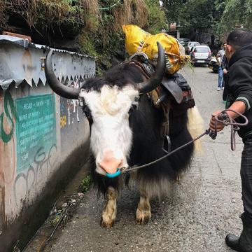 Photo from “India 🇮🇳 Kanyakumari to Kashmir”